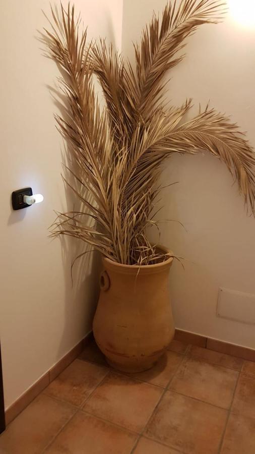 باولا B&B L'Eucalipto المظهر الخارجي الصورة